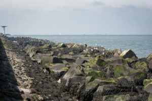 052-2014-07-27 Hoek van Holland