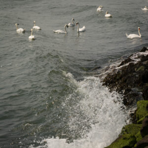 054-2014-07-27 Hoek van Holland