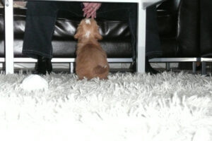 002-2009-01-17 Daisy de Hond