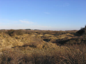 003-2006-01-29 Wandelen in de duinen