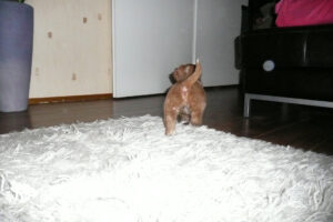 004-2009-01-17 Daisy de Hond