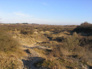 005-2006-01-29 Wandelen in de duinen