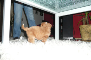 007-2009-01-17 Daisy de Hond