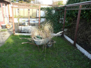 010-2008-01-27 Tuin