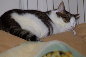 018-2007-02-23 Dorus en Joepie