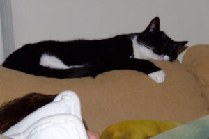019-2007-02-23 Dorus en Joepie