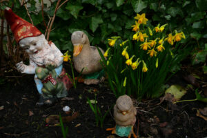 036-2008-02-23 Tuin