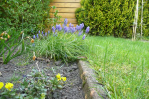 039-2009-04-15 Tuin