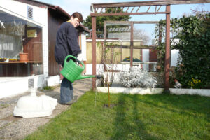 042-2008-02-24 Tuin