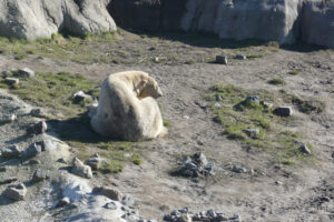 044-2010-03-06 Blijdorp