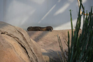 062-2010-03-06 Blijdorp