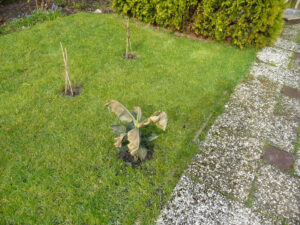 081-2008-03-20 Tuin