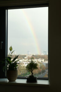 094-2010-03-26 Regenboog