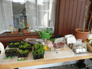 095-2008-04-10 Tuin
