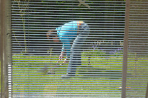 096-2008-04-12 Tuin