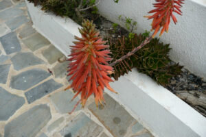 096-2009-05-22 Karpathos
