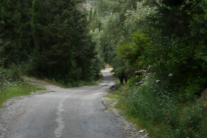 102-2010-05-11 Corfu