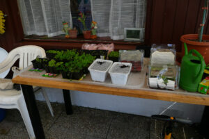 105-2008-04-17 Tuin