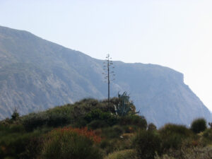 118-2003-09-18 Zakinthos