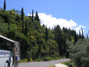 123-2006-06-02 Corfu excusie