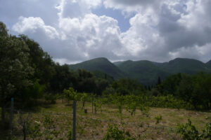126-2010-05-16 Corfu