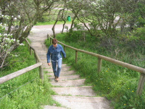128-2005-05-08 Duinen wandelen