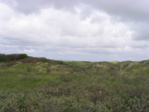 129-2005-05-08 Duinen wandelen