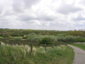 130-2005-05-08 Duinen wandelen