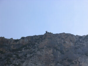 137-2003-09-19 Zakinthos excursie