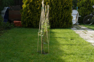 141-2008-05-04 Tuin