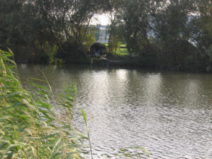 147-2004-08-26 Carpmania