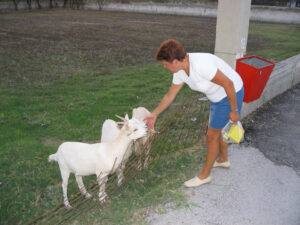 157-2003-09-22 Zakinthos