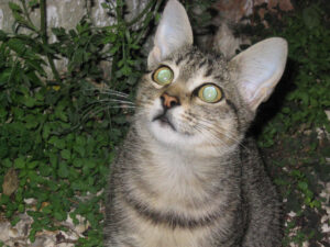 158-2003-09-22 Zakinthos