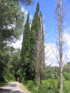 159-2006-06-08 Corfu