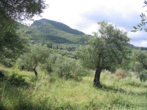 161-2006-06-08 Corfu
