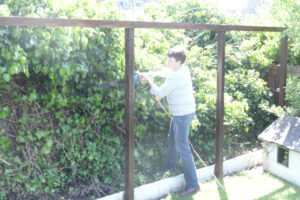 164-2008-05-18 Tuin