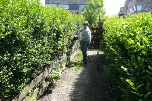 166-2008-05-18 Tuin