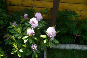 166-2010-05-24 Tuin