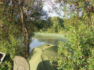 168-2004-08-28 Carpmania