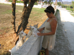 169-2003-09-26 Zakinthos
