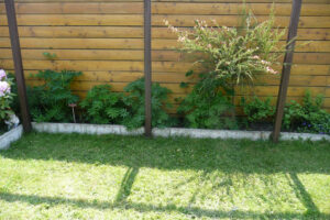 174-2010-05-24 Tuin