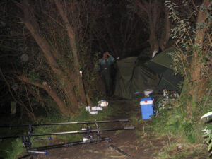 175-2004-08-28 Carpmania