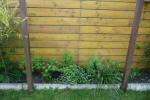 175-2010-05-24 Tuin