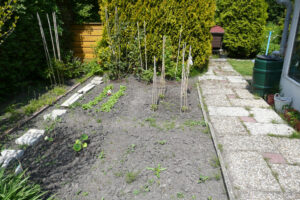 177-2010-05-24 Tuin