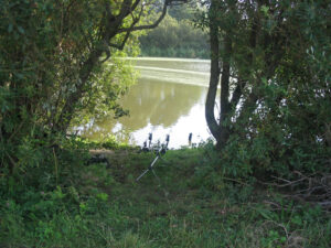 178-2004-08-28 Carpmania