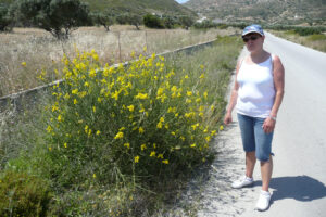 182-2009-05-25 Karpathos
