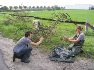 183-2004-08-28 Carpmania