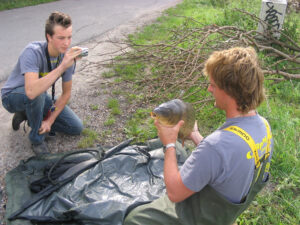 185-2004-08-28 Carpmania