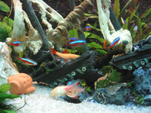 186-2003-11-05 Aquarium