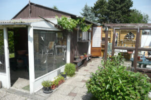 189-2010-06-05 Tuin